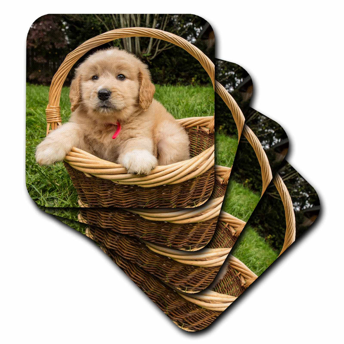 3dRose Cute Seven Week Goldendoodle Puppy Sitting in an Empty Wicker Basket - Coasters (CST_332731)
