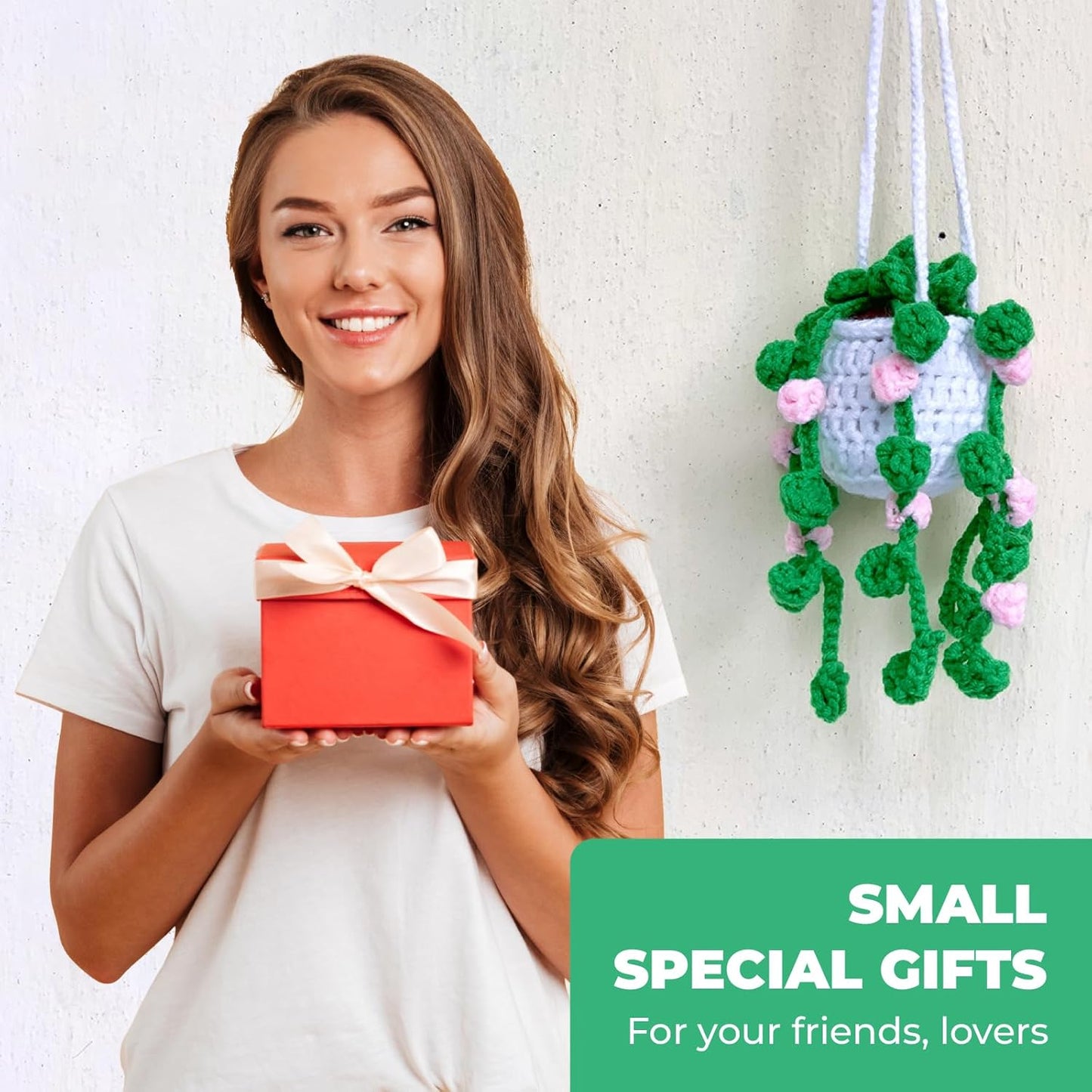 Crochet Car Accessories, Handmade Knitted Potted Plants Car (White Rose Crochet)