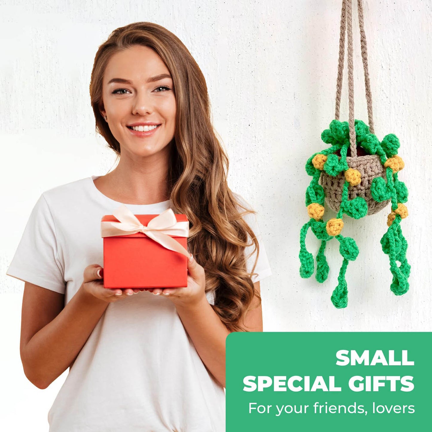 Crochet Hanging Plant For Car Ornament (Brown Yellow Crochet)