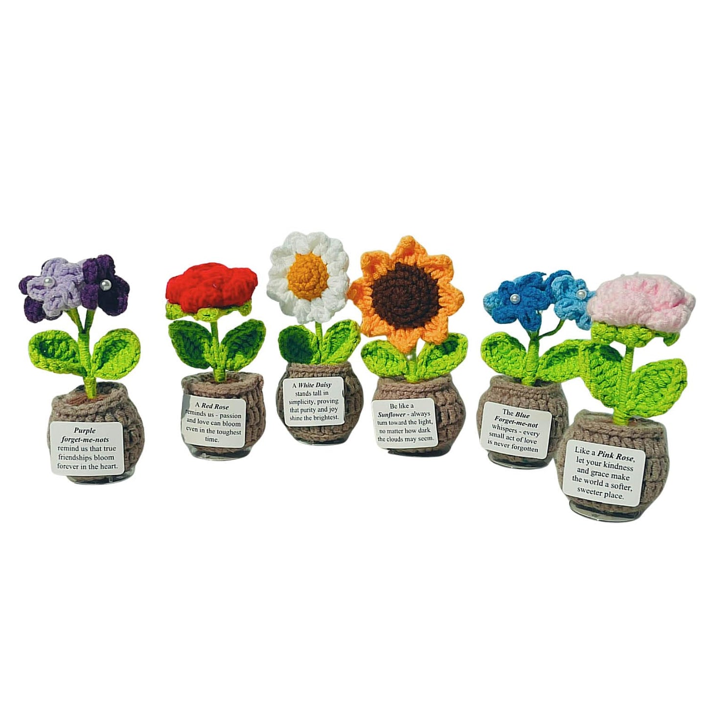 Handmade Crochet Flower with Support Card (Set of 6)