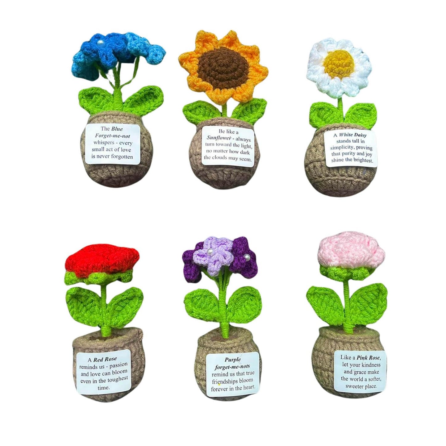 Handmade Crochet Flower with Support Card (Set of 6)