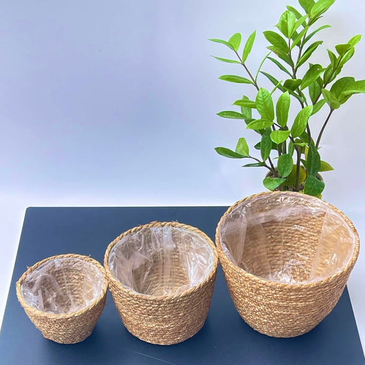 Woven Seagrass Plant Basket Without Handles (Set of 3)