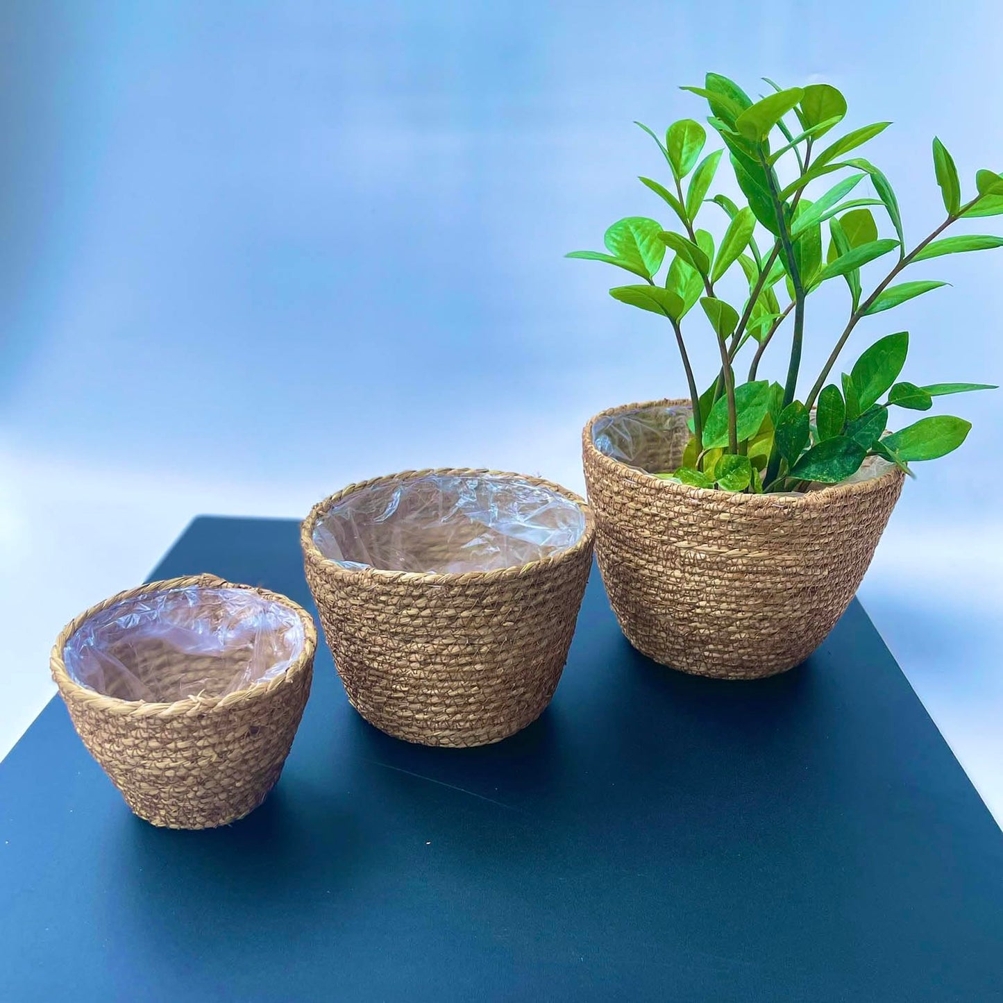 Woven Seagrass Plant Basket Without Handles (Set of 3)