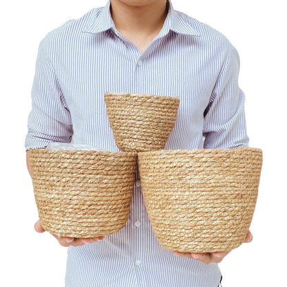 Woven Seagrass Plant Basket Without Handles (Set of 3)