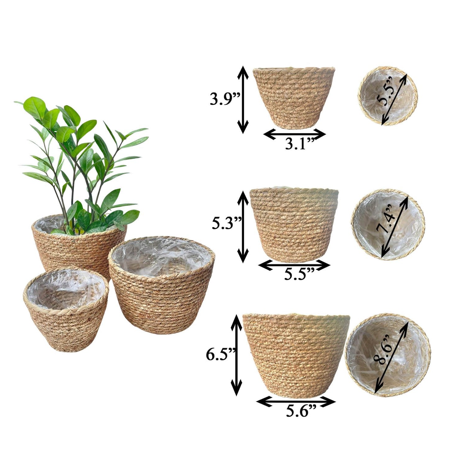 Woven Seagrass Plant Basket Without Handles (Set of 3)