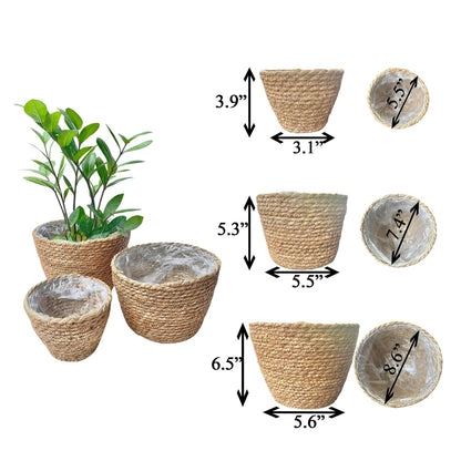 Woven Seagrass Plant Basket Without Handles (Set of 3)